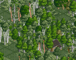 Ecs forest-tropic.png