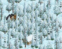 Ecs forest-snowed.png