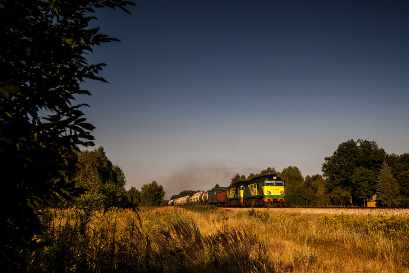 File:1213POTM vear.jpg