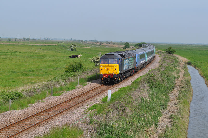 File:0613POTM Andel.jpg