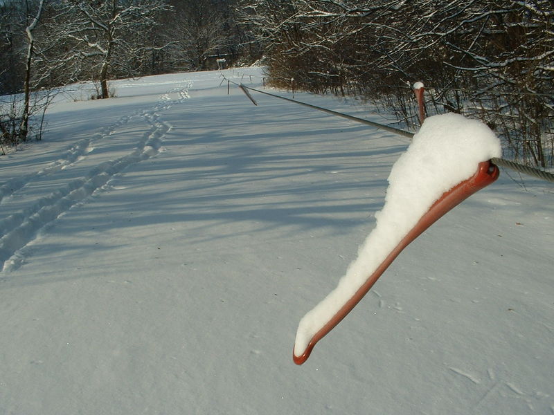 File:1212POTM doktorhonig.jpg