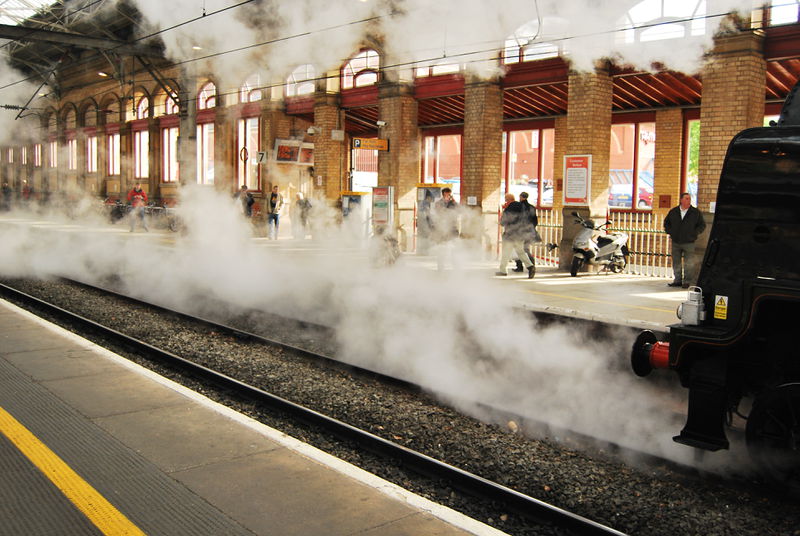 File:0813POTM Dave.jpg