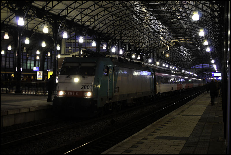 File:0113POTM jorD1.jpg