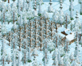 Ecs fruitplantation-snowed.png