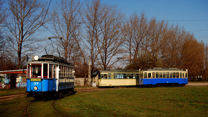 File:0313POTM vear.jpg