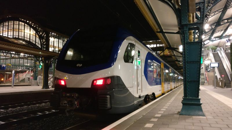 File:0918POTM Erato.jpg