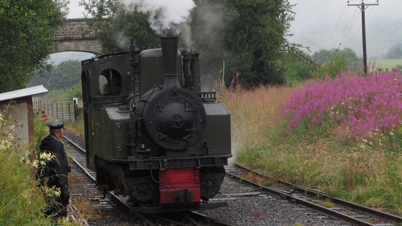File:0612POTM lawton27.jpg