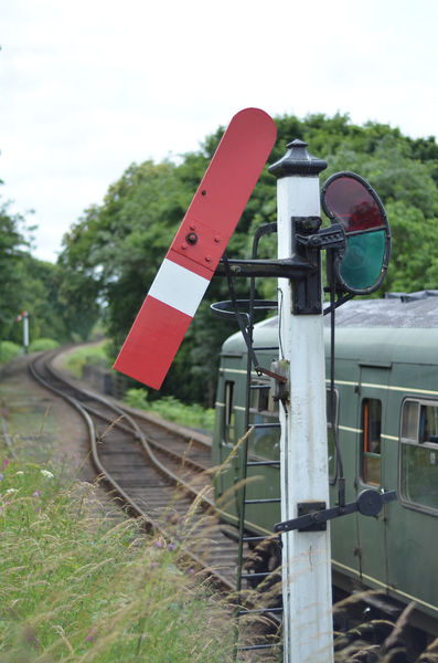 File:0712POTM Ameecher.jpg