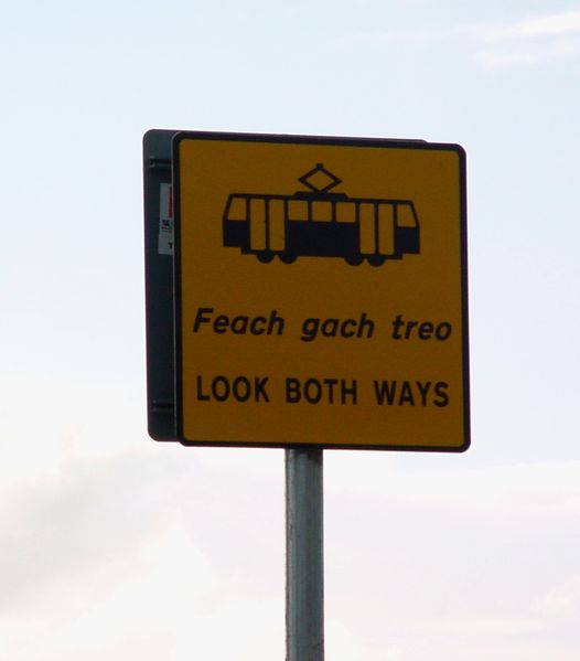 File:1012POTM TheIrish.jpg