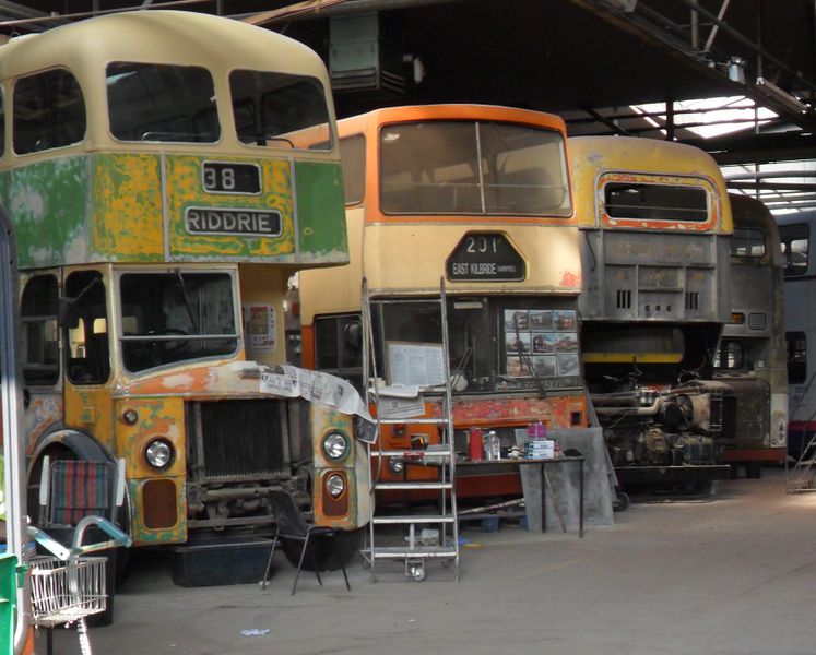 File:0515POTM Ploes.jpg