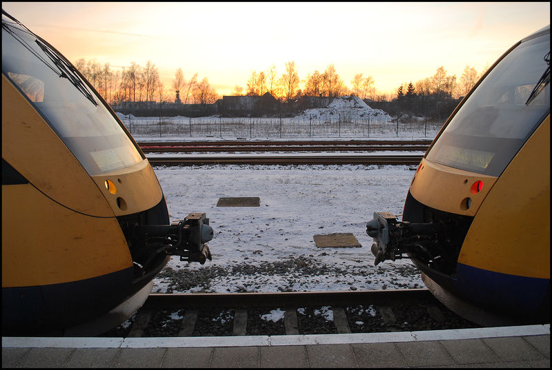File:1212POTM jorD1.jpg