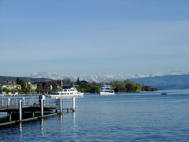 File:0812POTM doktorhonig.jpg